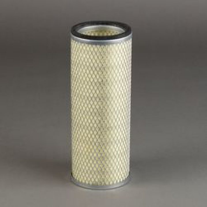 P123828 air filter element (secondary)