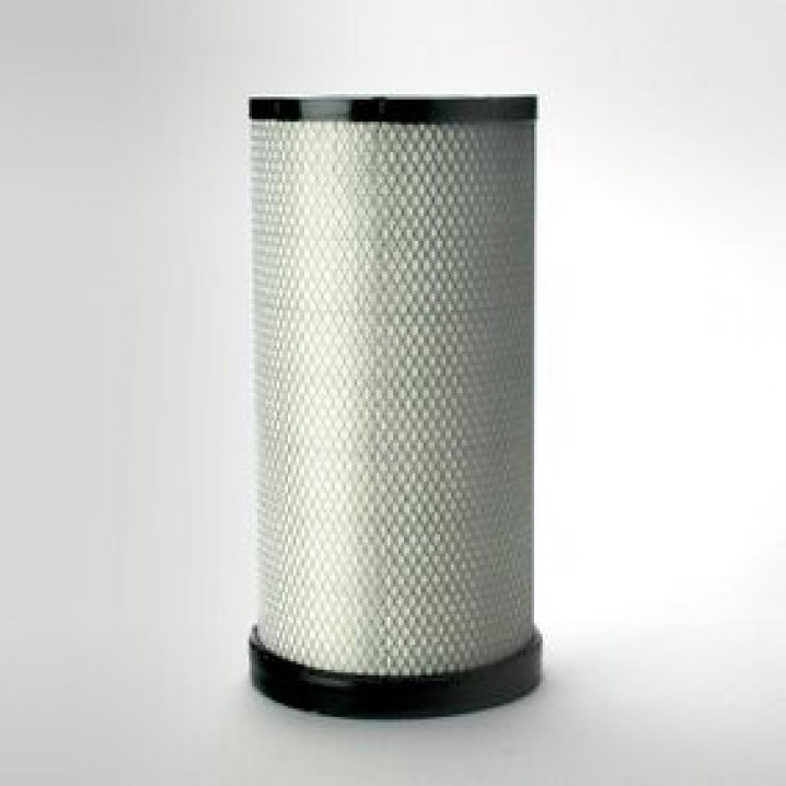 P533884 air filter element (secondary)